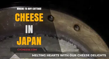 Discovering Cottage Cheese in Japan: Top Stores and Online Options