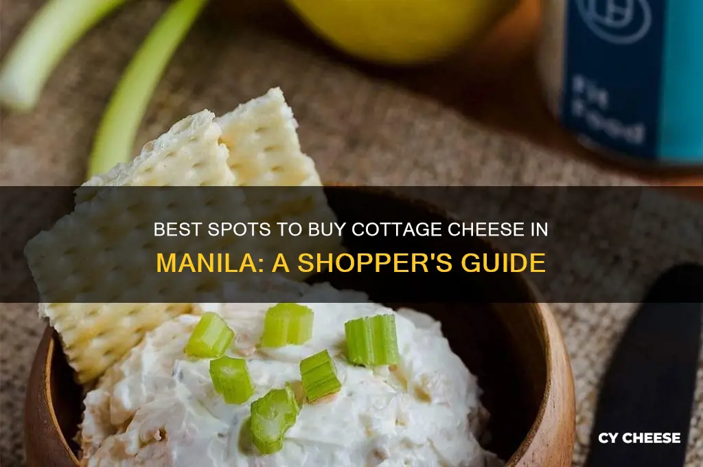 where to buy cottage cheese in manila