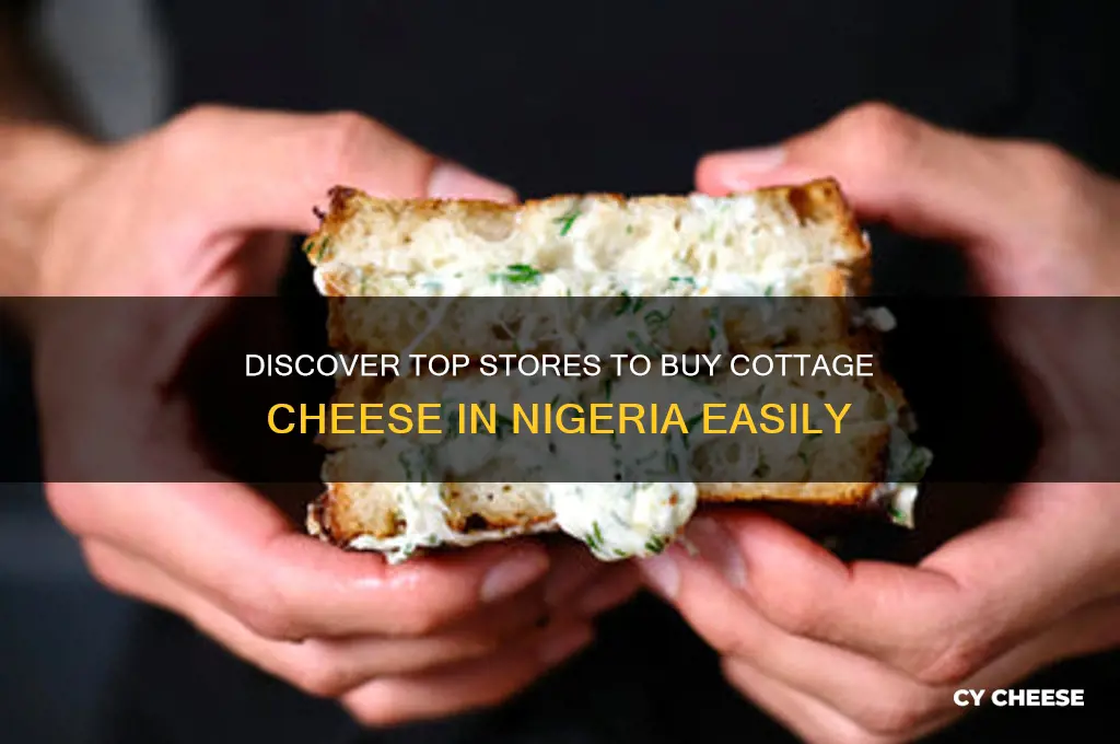 where to buy cottage cheese in nigeria