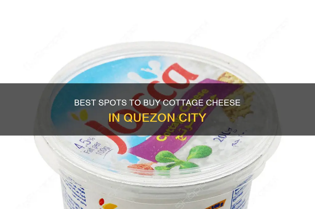 where to buy cottage cheese in quezon city