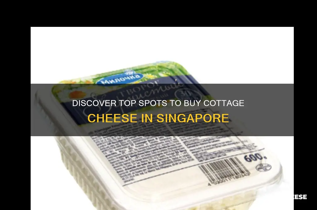 where to buy cottage cheese in singapore