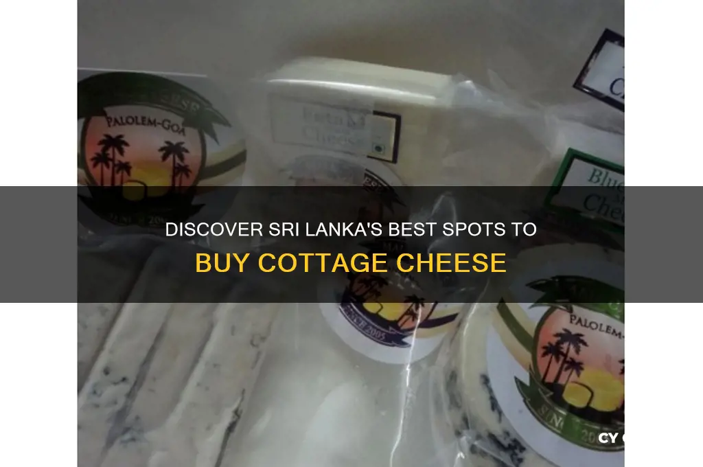 where to buy cottage cheese in sri lanka