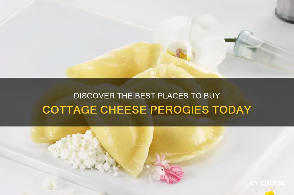 where to buy cottage cheese perogies
