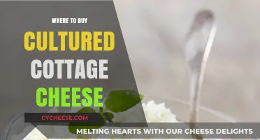 Discover the Best Places to Buy Cultured Cottage Cheese