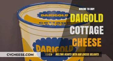 Discover the Best Places to Buy Daigold Cottage Cheese Today
