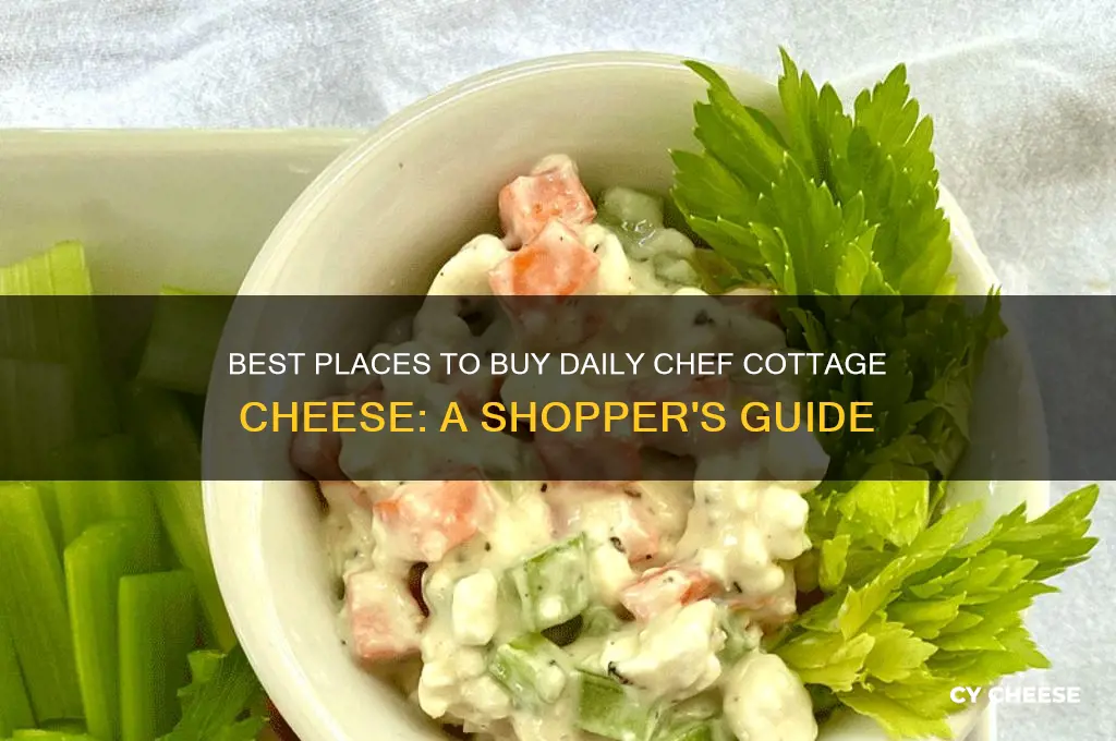 where to buy daily chef cottage cheese