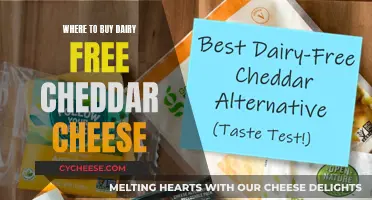 Dairy-Free Cheddar: Top Sources for Plant-Based Cheese Lovers