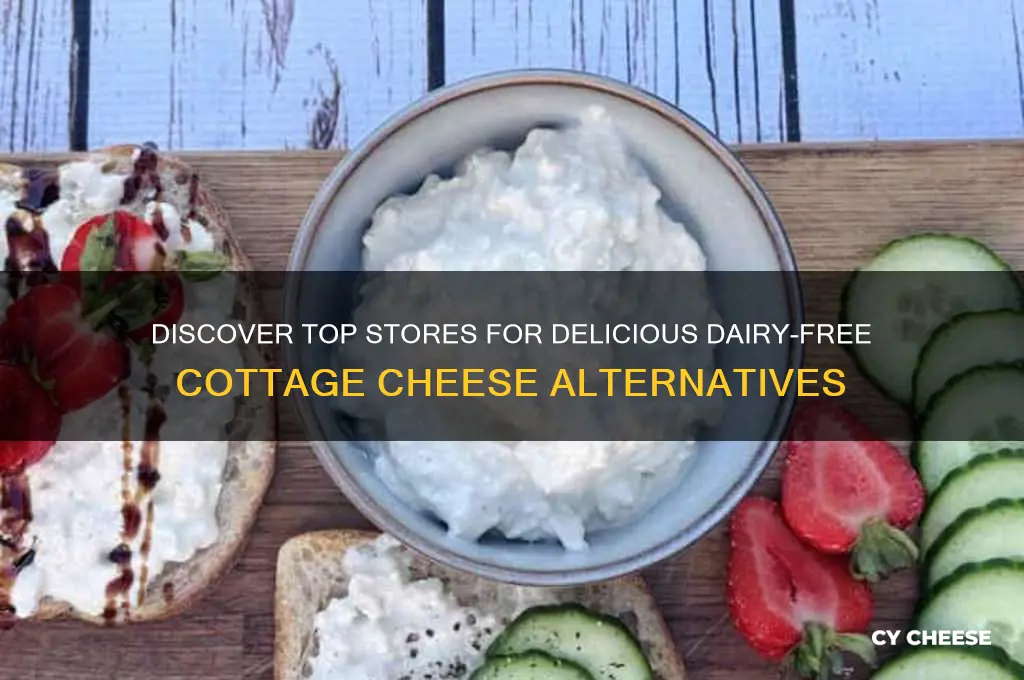 where to buy dairy-free cottage cheese