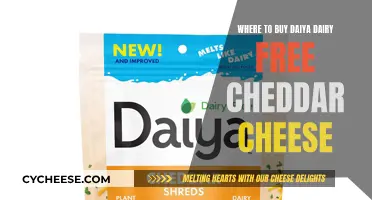 Daiya Dairy-Free Cheddar: Where to Find This Vegan Cheese