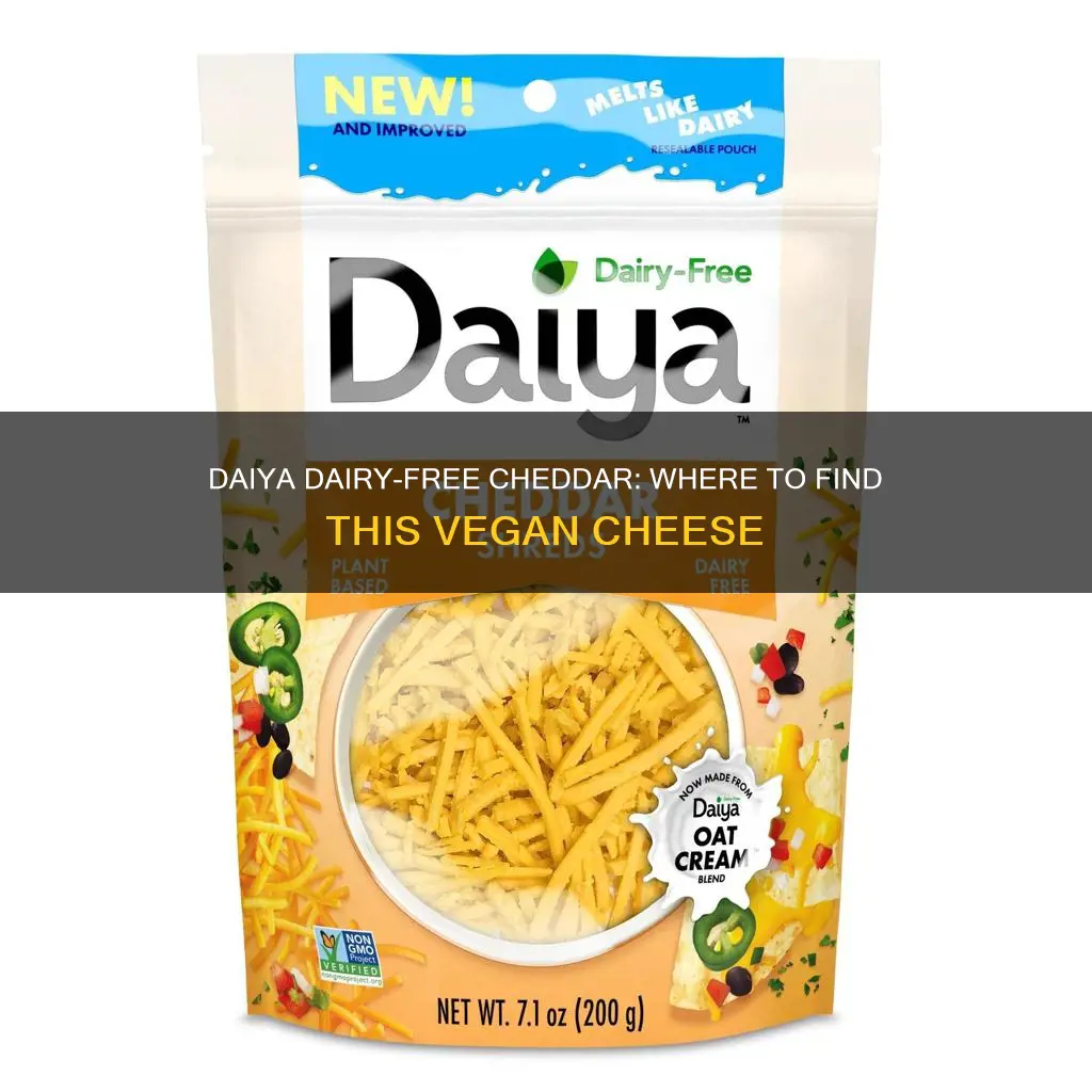 where to buy daiya dairy free cheddar cheese