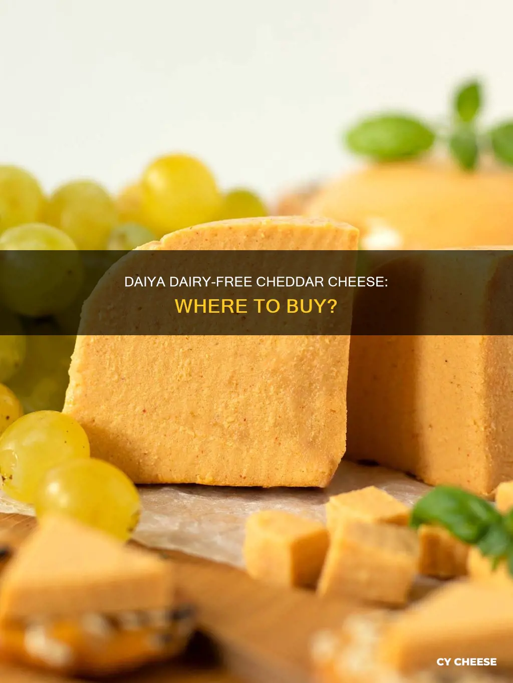 where to buy daiya dairy free cheddar cheese