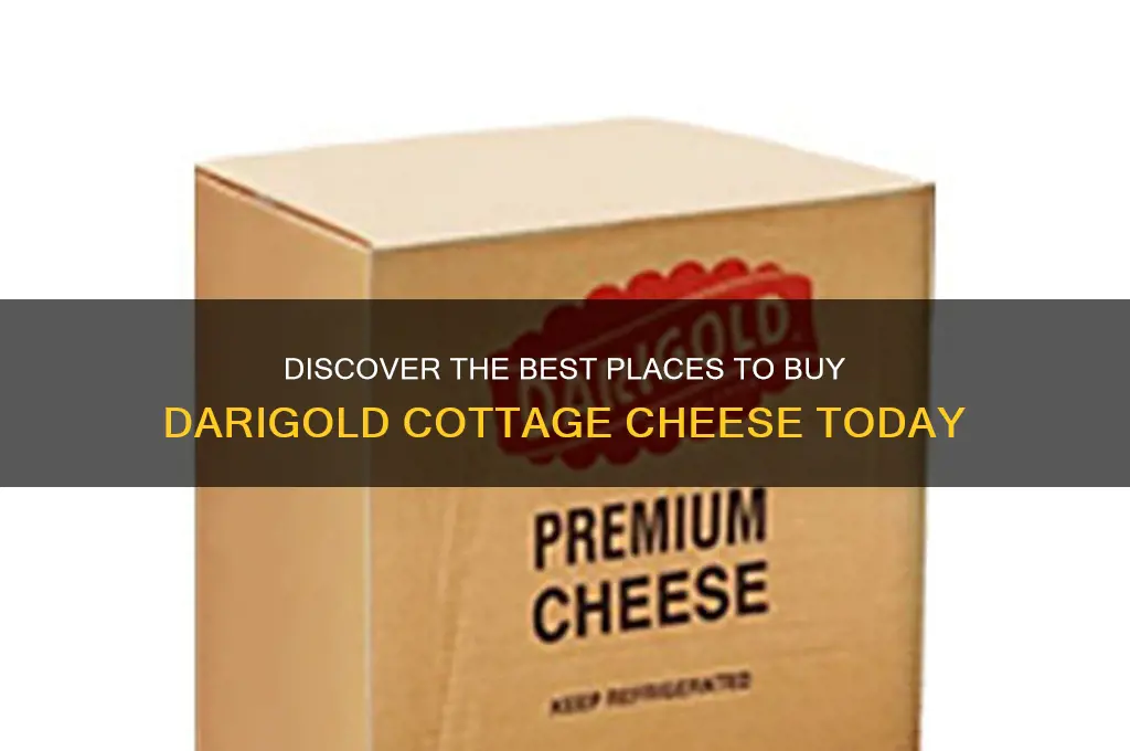 where to buy darigold cottage cheese