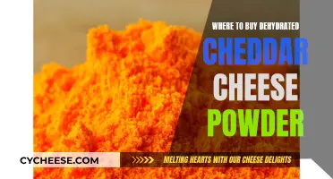 Dehydrated Cheddar Cheese Powder: Top Sources and Buying Guide