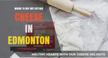 Edmonton's Best Spots to Buy Dry Cottage Cheese: A Shopper's Guide