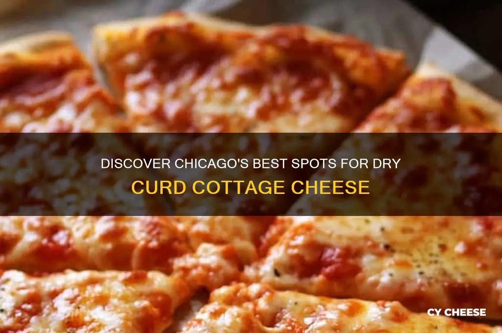 where to buy dry curd cottage cheese in chicago
