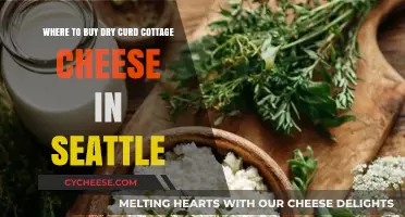 Discover Seattle's Best Spots for Dry Curd Cottage Cheese