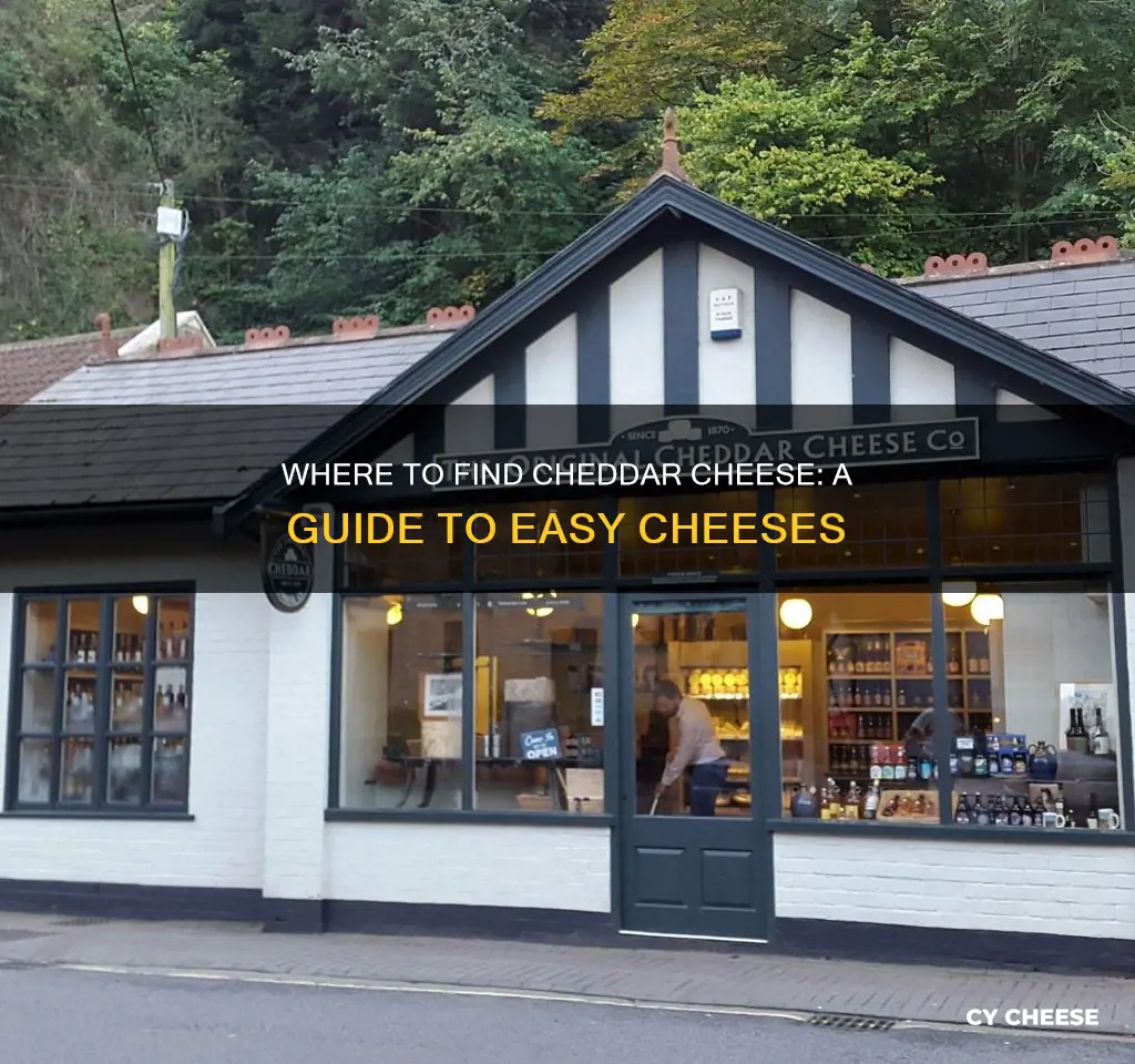 where to buy easy cheese cheddar cheese