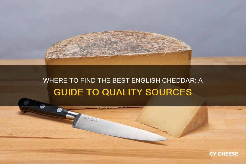 where to buy english cheddar cheese