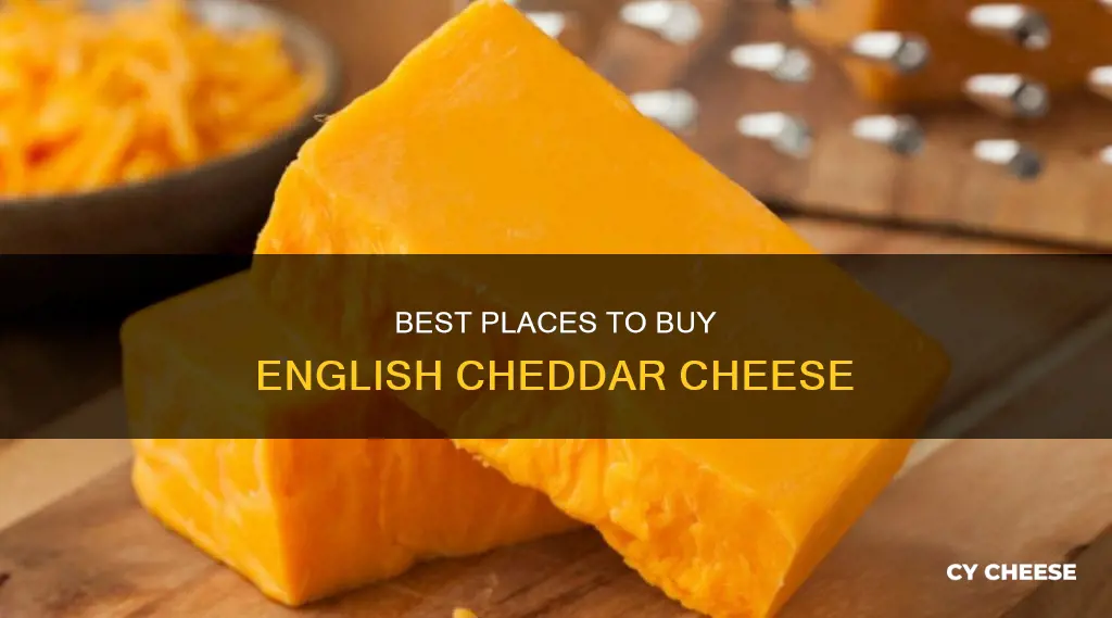 where to buy english cheddar cheese