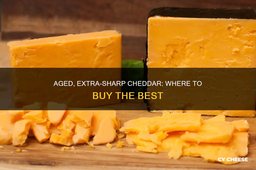 where to buy extra sharp aged cheddar cheese