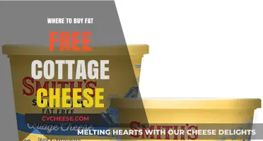 Where to Find Fat-Free Cottage Cheese: Top Stores and Brands