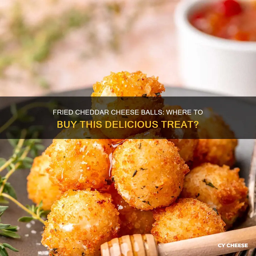 where to buy fried cheddar cheese balls