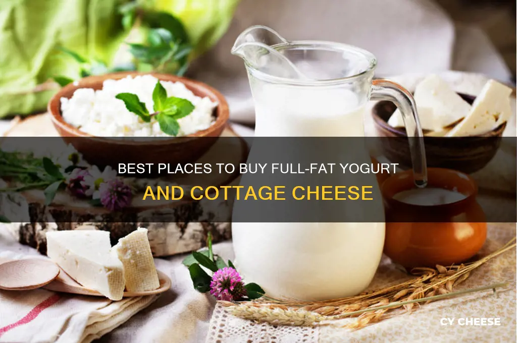 where to buy full fat yogurt or cottage cheese