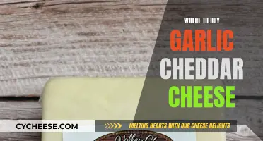 Garlic Cheddar Cheese: Top Sources for the Perfect Flavor