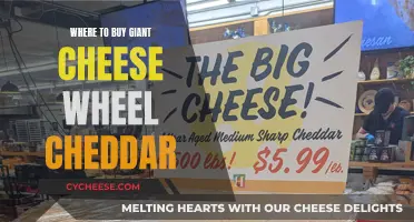 Where to Find the Perfect Giant Cheddar Wheel: A Guide