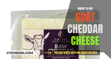 Where to Find the Best Goat Cheddar: A Guide to Delicious Cheeses