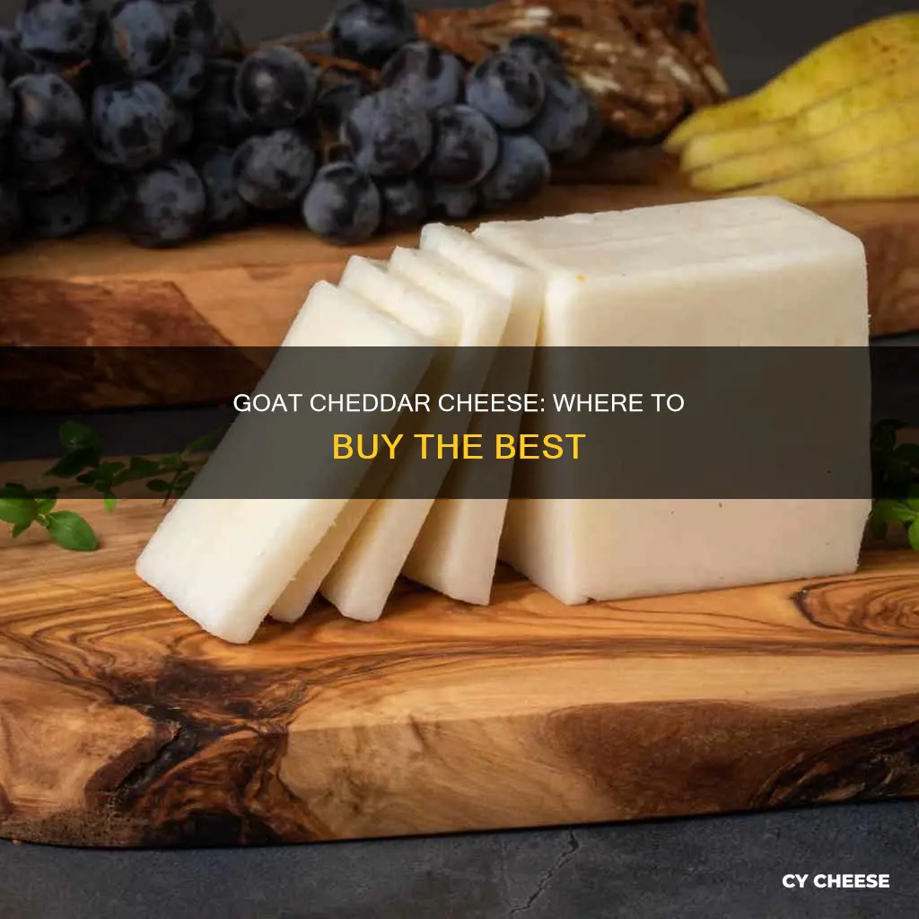 where to buy goat cheddar cheese