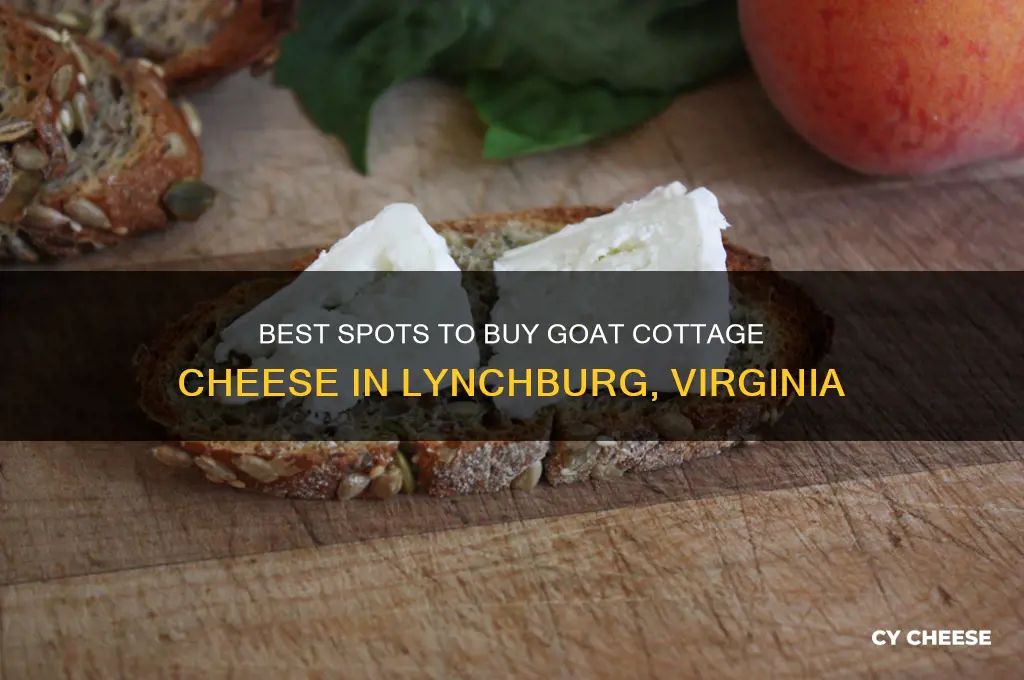 where to buy goat cottage cheese lynchburg virginia