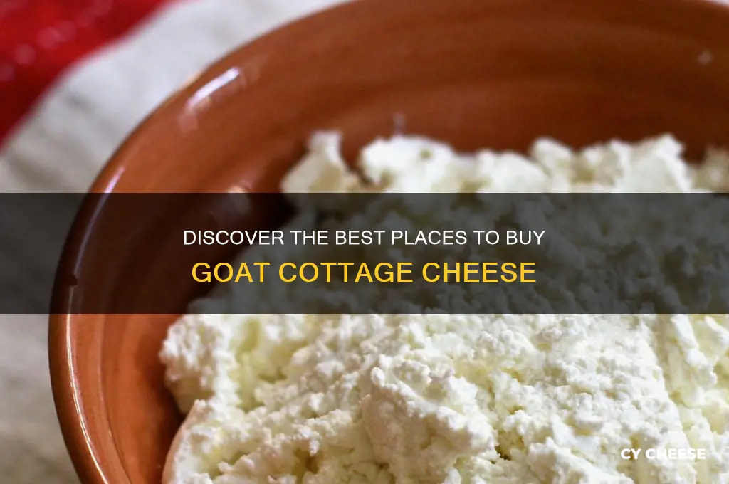 where to buy goat cottage cheese