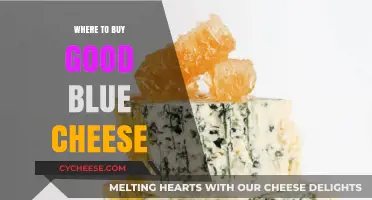 Discover the Best Places to Buy High-Quality Blue Cheese