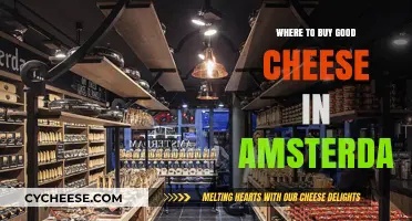 Discover Amsterdam's Best Cheese Shops: A Tasty Guide for Buyers