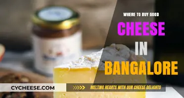 Discover Bangalore's Best Cheese Shops: A Gourmet's Guide to Quality Cheeses