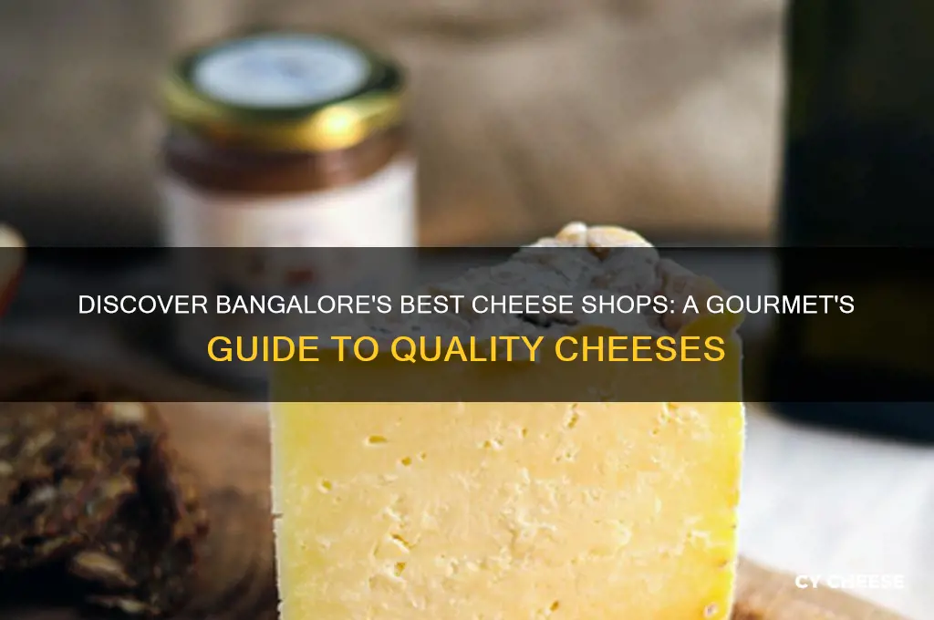 where to buy good cheese in bangalore