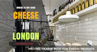 London's Best Cheese Shops: A Guide to Gourmet Delights