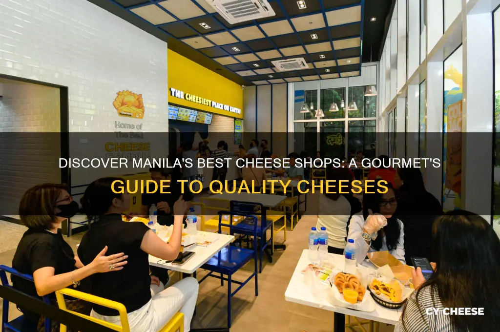where to buy good cheese in manila