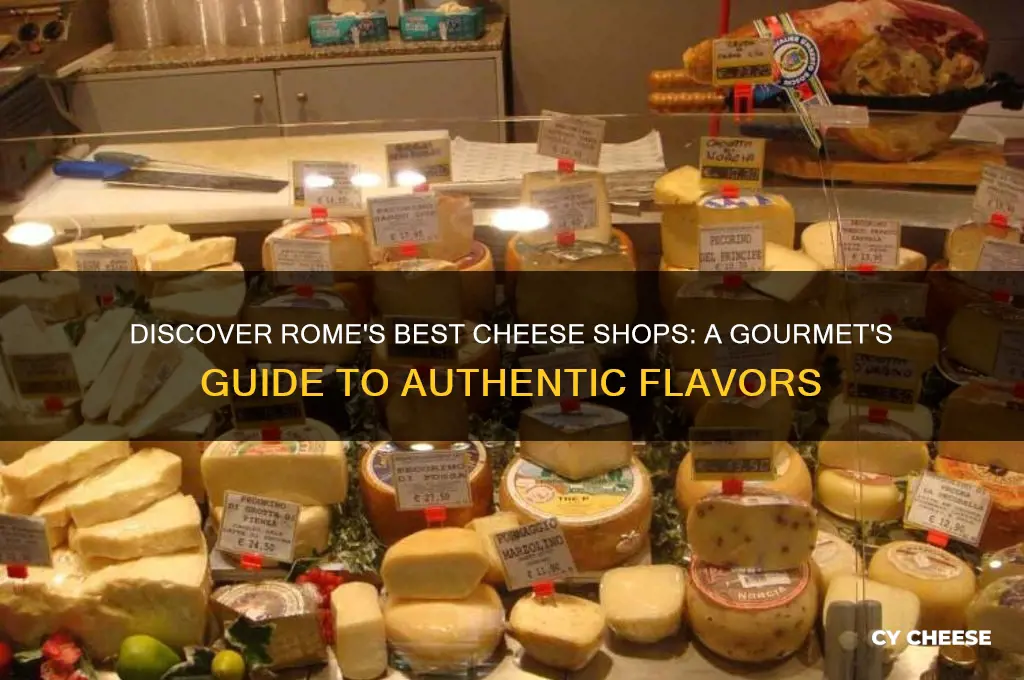 where to buy good cheese in rome