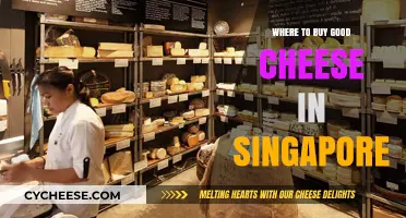 Discover Singapore's Best Cheese Shops: A Gourmet's Guide to Quality Cheeses