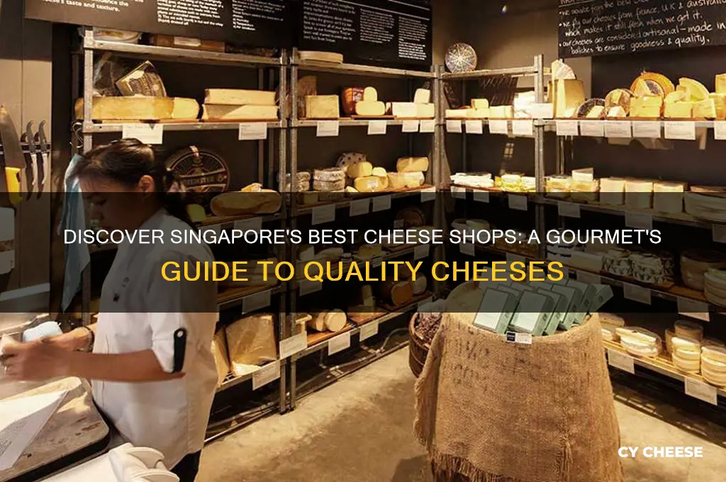 where to buy good cheese in singapore