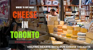 Toronto's Top Cheese Shops: A Guide to Gourmet Cheese Finds