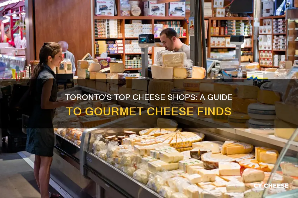where to buy good cheese in toronto