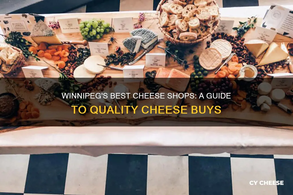 where to buy good cheese in winnipeg
