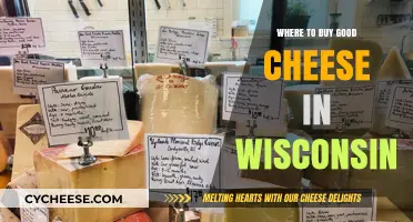 Wisconsin's Best Cheese Shops: A Guide to Top Dairy Delights