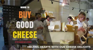 Discover the Best Cheese Shops: A Guide to Quality Cheese Purchases