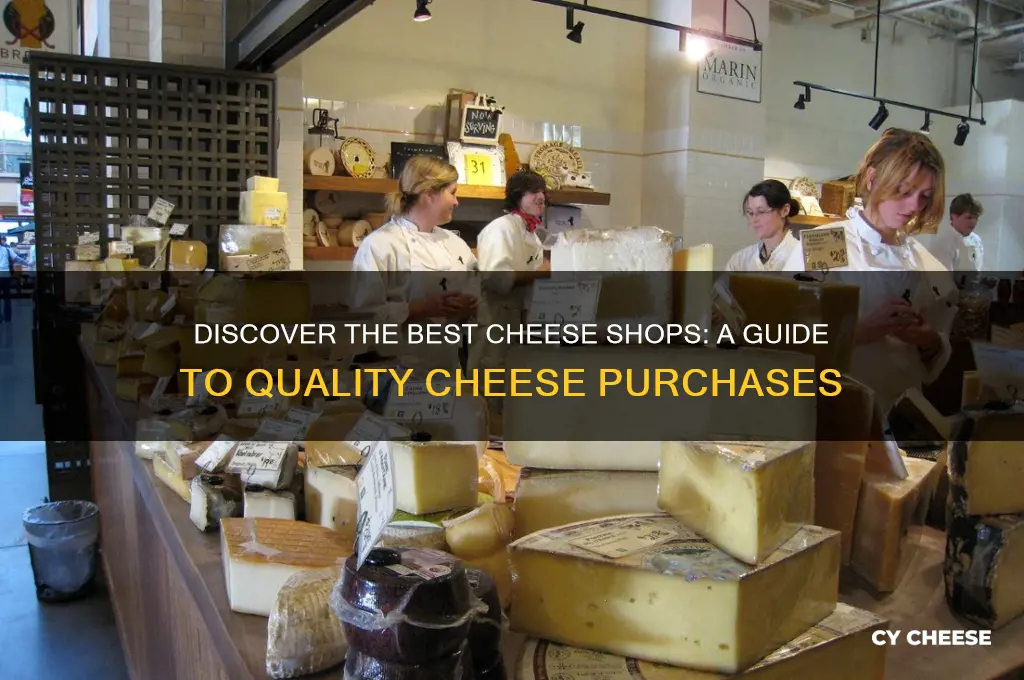 where to buy good cheese