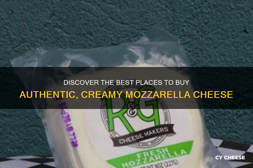 where to buy good mozzarella cheese