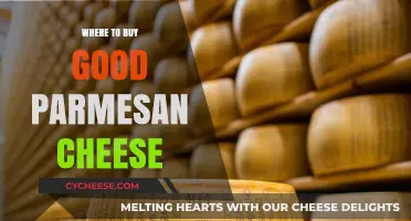 Discover the Best Places to Buy Authentic Parmesan Cheese